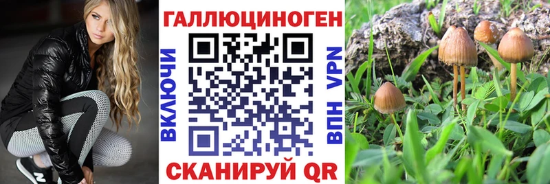 Псилоцибиновые грибы мухоморы  купить закладку  Тында 